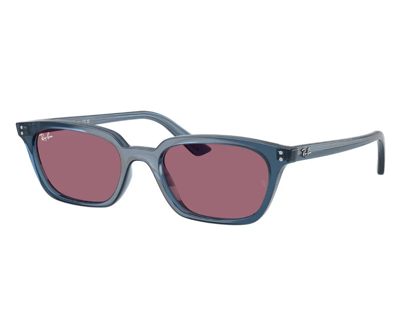 RAYBAN 4456 6812/1A 50
