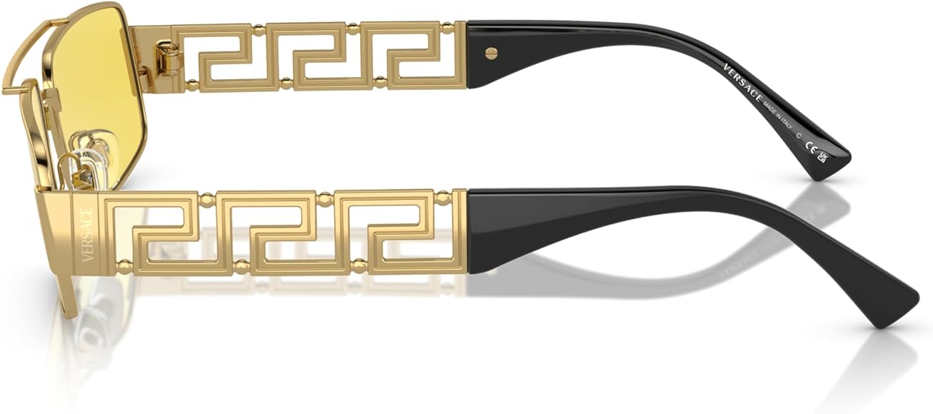 VERSACE 2257 1002/C9 60